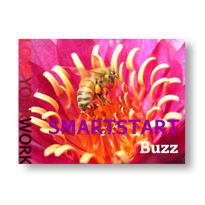 Smartstart Buzz