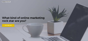 Online Marketing Rock Star QUIZ by SMARTSTART