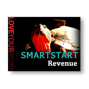 Smartstart Revenue