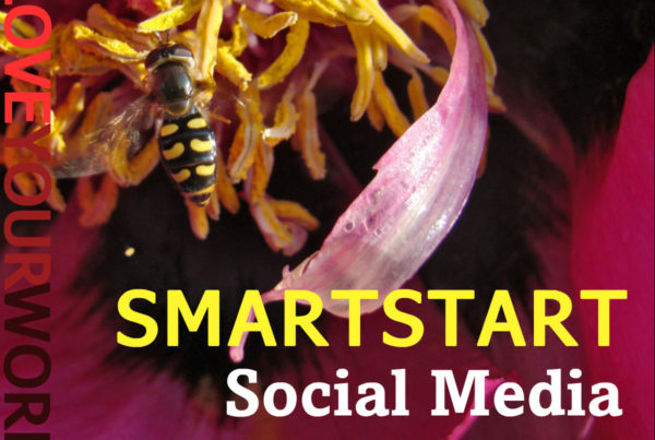 image - SMARTSTART Social Media